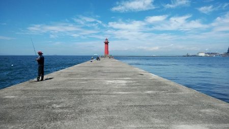 播磨新島でキス釣り
