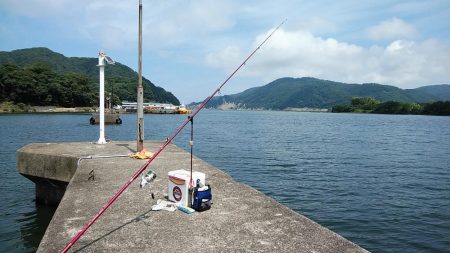 津居山港小島岸壁のキス