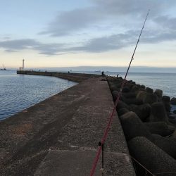 高砂港でキス狙い