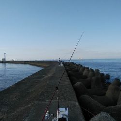高砂港でキス連投