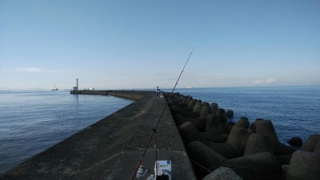 高砂港でキス連投