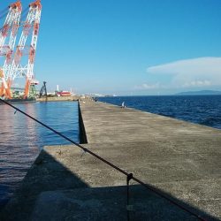 依然厳しい播磨新島のキス