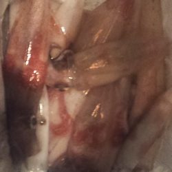 やる気スイッチどこ～？