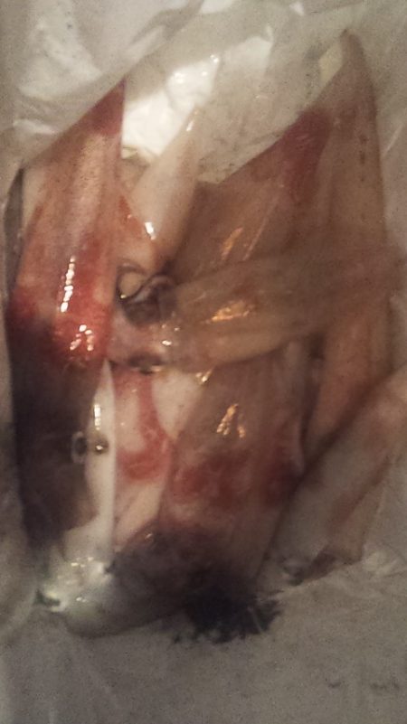 やる気スイッチどこ～？