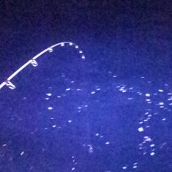 いつまで続くのこの渋さ