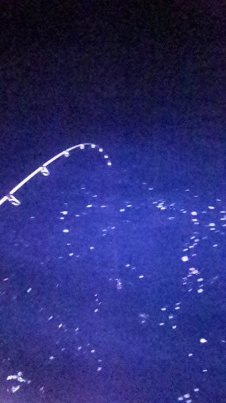 いつまで続くのこの渋さ