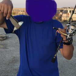 鱗付け淡路島アジング