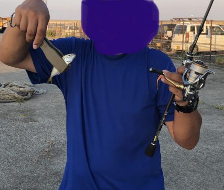 鱗付け淡路島アジング