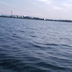 ボララッシュ。