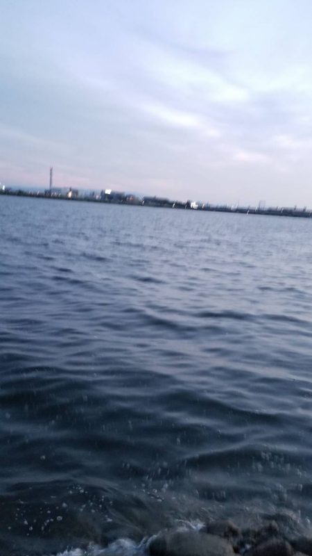 ボララッシュ。