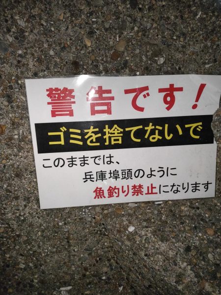 流星アジング調査