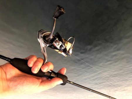 早朝アジングin大阪6