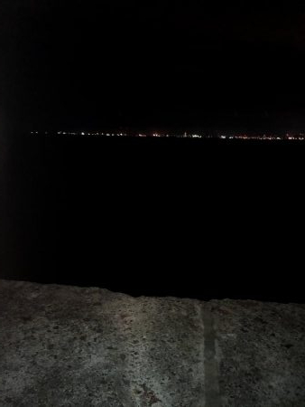 早朝アジングならぬサバング11