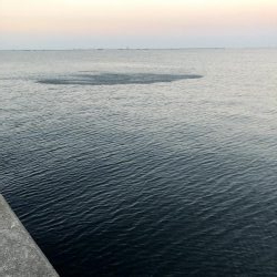 早朝サバングin西宮ケーソン2