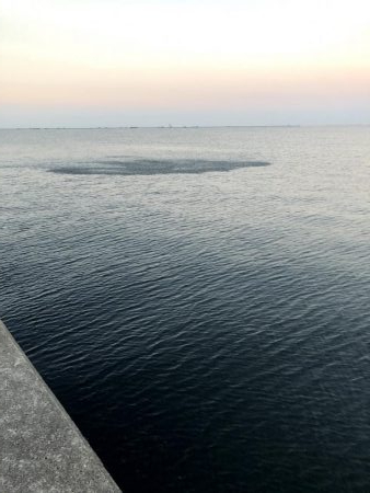 早朝サバングin西宮ケーソン2