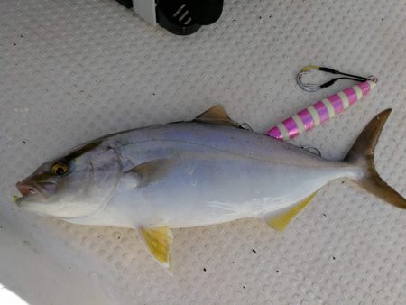 どうした日本海。。