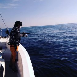 遊漁船SOUTH8/1釣果