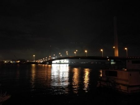 （2020/08/06 南港ヘチ釣り　 キビレチヌ 41cm、ガシラ 25㎝ 釣果有り）