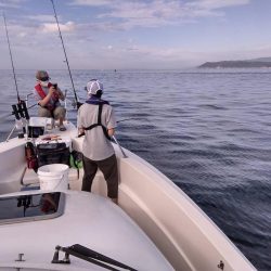 遊漁船SOUTH8/13釣果