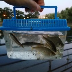 今日は一人で‼️