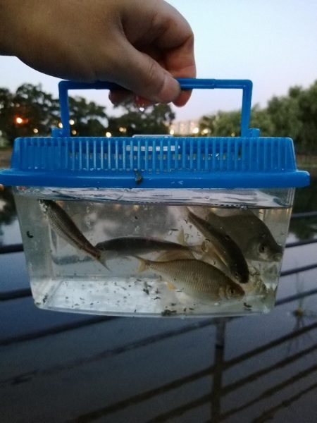 今日は一人で‼️