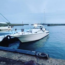 遊漁船SOUTH 8/28釣果