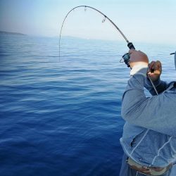 ナイスヒラマサ!!