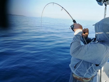 ナイスヒラマサ!!