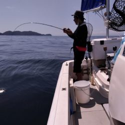 遊漁船SOUTH 8/26釣果