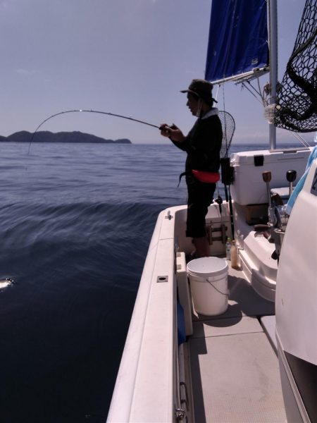 遊漁船SOUTH 8/26釣果