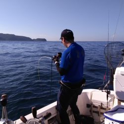 遊漁船SOUTH 8/29釣果