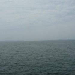 周りは爆釣！！