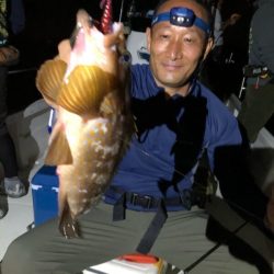 Magic(マジック) 釣果