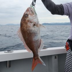 まるいち丸 ZERO-1 釣果
