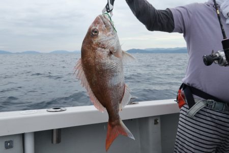 まるいち丸 ZERO-1 釣果