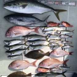 さぶろう丸 釣果