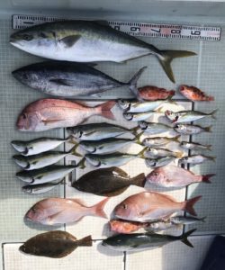 さぶろう丸 釣果