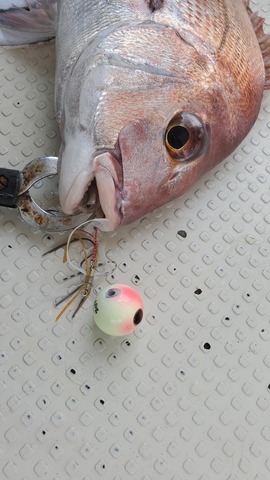 遊漁船　ニライカナイ 釣果