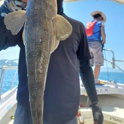 遊漁船 ニライカナイ 釣果
