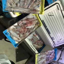 第八大安丸 釣果