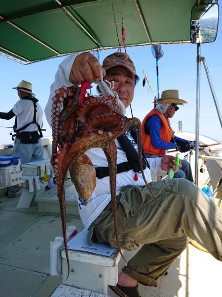 たかみ丸 釣果