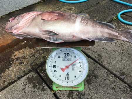 伊豆下田フィッシング 釣果