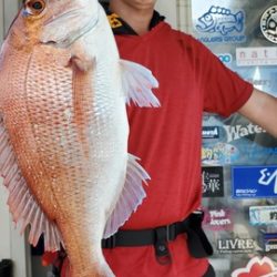 遊漁船 ニライカナイ 釣果