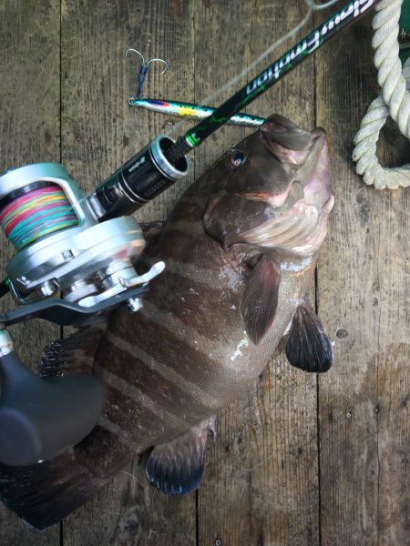 伊豆下田フィッシング 釣果