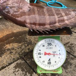 伊豆下田フィッシング 釣果