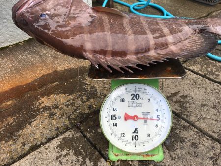 伊豆下田フィッシング 釣果