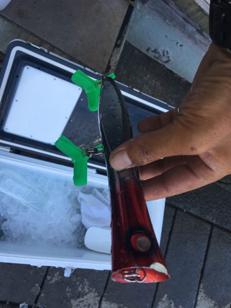 伊豆下田フィッシング 釣果