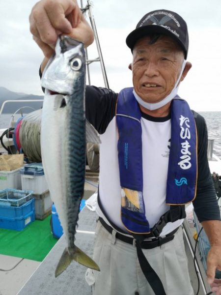 泰丸 釣果