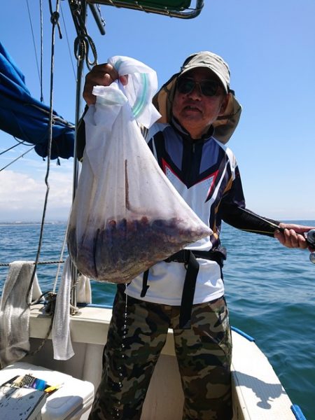 たかみ丸 釣果