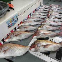 遊漁船 セトマリン 釣果